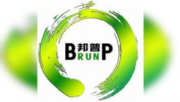 Guangdong Brunp