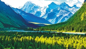 Xinjiang