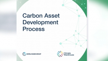 Carbon Asset Development 